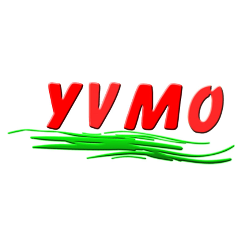 Creation of a holding and takeover of the company YVMO